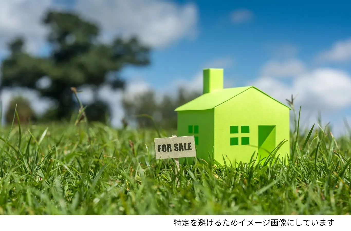 沖縄県今帰仁村 売土地